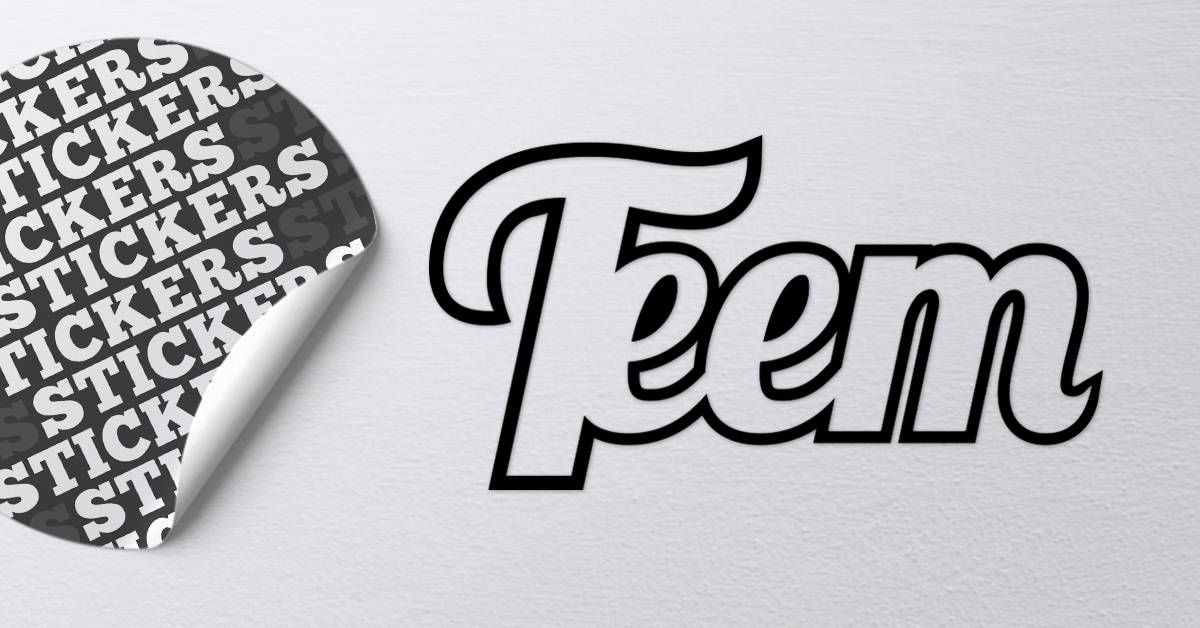 Teem Transfer Sticker (2 pack) – TEEM Gear